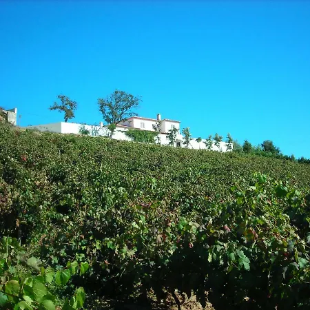 Quinta Do Paco E Da Ribeira 别墅